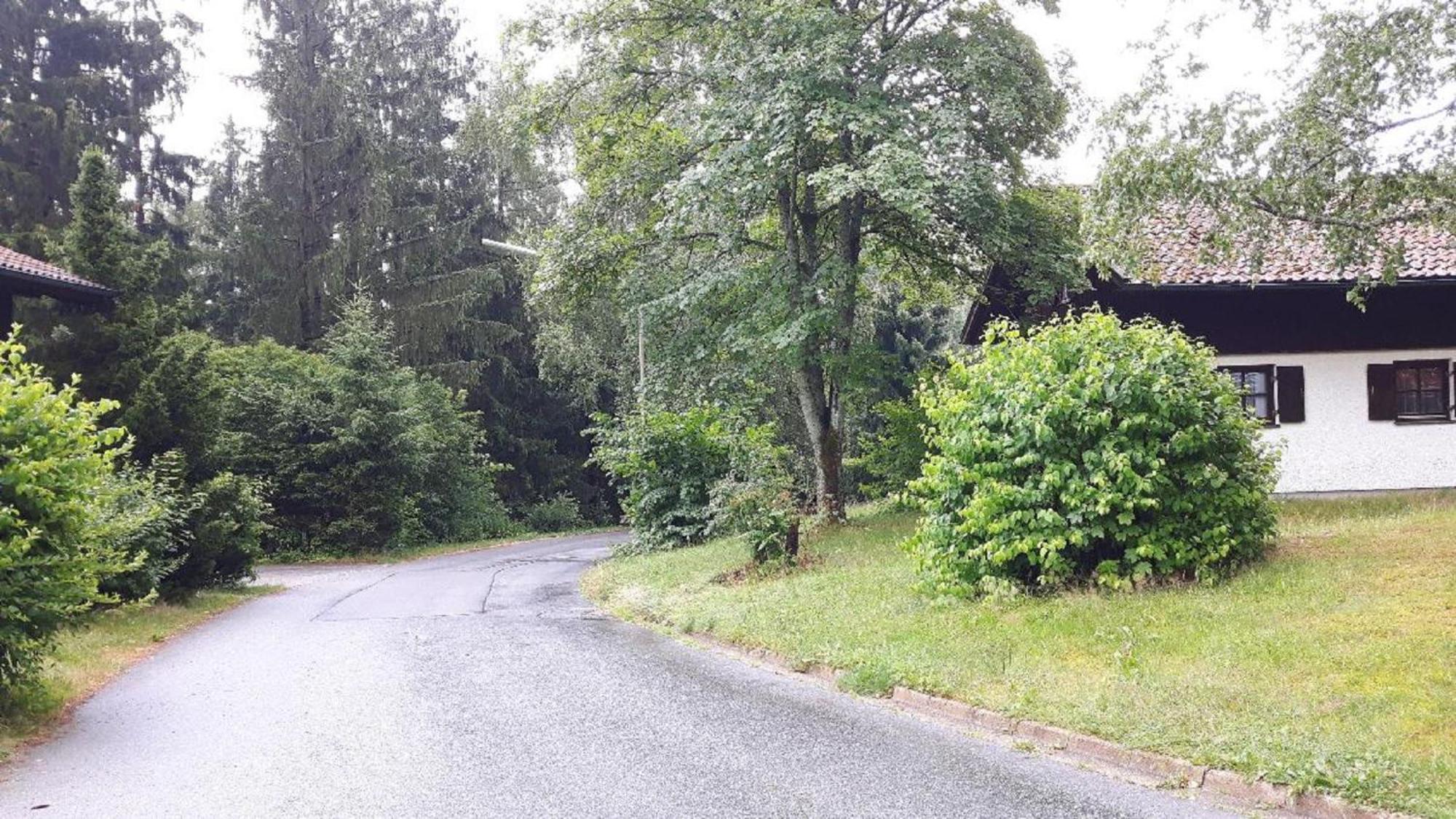 Ferienhaus Virzi - Waldferiendorf Regen Eksteriør bilde